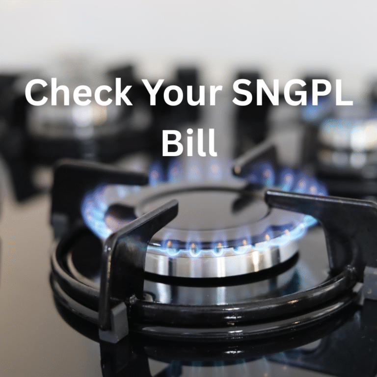 SNGPL bill check