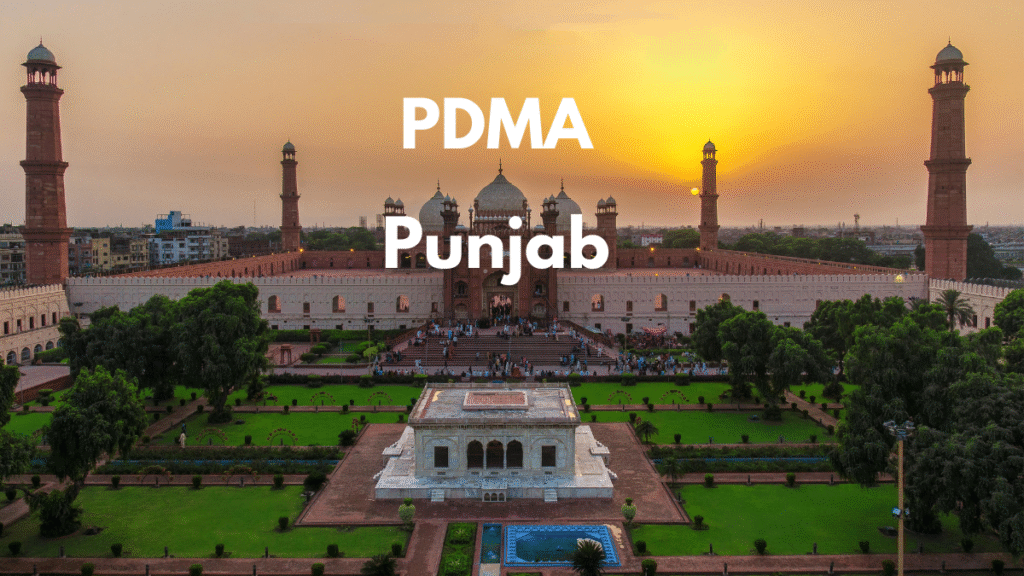 PDMA Punjab